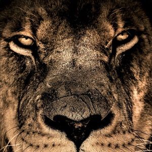 Meet your Posher, Saad